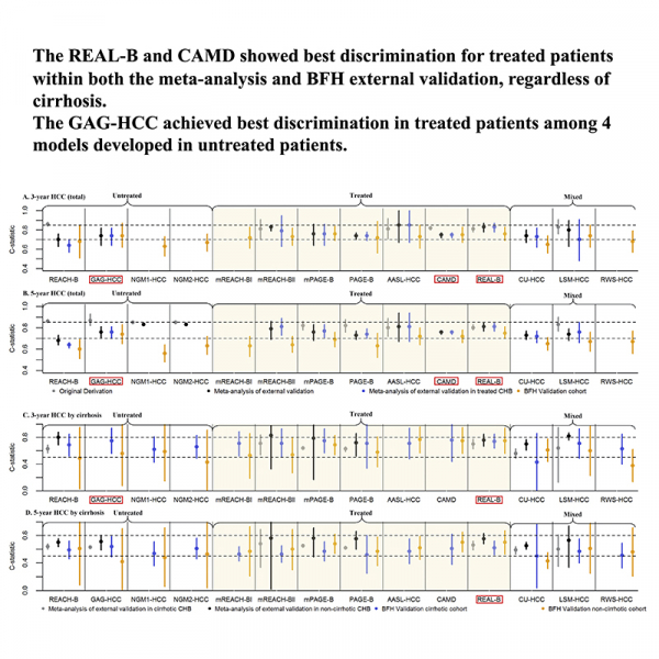 Hepatocellular Carcinoma Prediction Models in Chronic Hepatitis B: A Systematic Review of 14 Models and External Validation Hepatocellular Carcinoma Prediction Models in Chronic Hepatitis B: A Systematic Review of 14 Models and External Validation