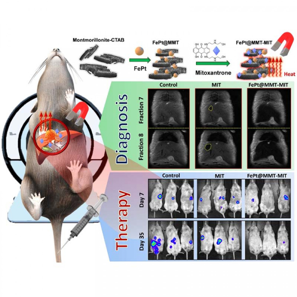 Magnetically Guided Theranostics: Montmorillonite-Based Iron/Platinum Nanoparticles for Enhancing in Situ MRI Contrast and Hepatocellular Carcinoma Treatment Magnetically Guided Theranostics: Montmorillonite-Based Iron/Platinum Nanoparticles for Enhancing in Situ MRI Contrast and Hepatocellular Carcinoma Treatment