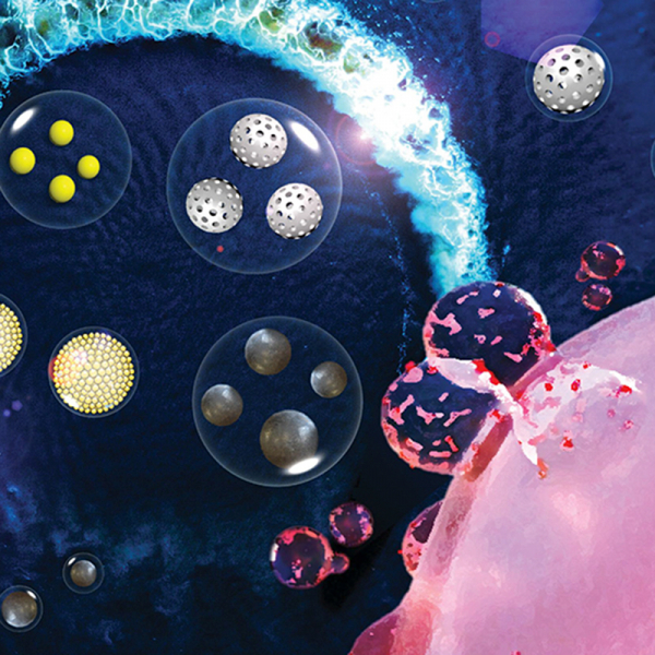 Integrated therapy platform of exosomal system: hybrid inorganic/organic nanoparticles with exosomes for cancer treatment Integrated therapy platform of exosomal system: hybrid inorganic/organic nanoparticles with exosomes for cancer treatment