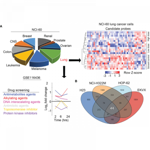 Aldolase A and Phospholipase D1 Synergistically Resist Alkylating Agents and Radiation in Lung Cancer Aldolase A and Phospholipase D1 Synergistically Resist Alkylating Agents and Radiation in Lung Cancer