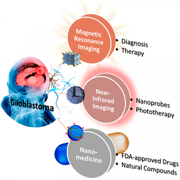 Progress and Viewpoints of Multifunctional Composite Nanomaterials for Glioblastoma Theranostics Progress and Viewpoints of Multifunctional Composite Nanomaterials for Glioblastoma Theranostics