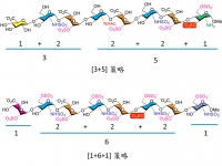 1-6-1_3-5ch 1-6-1_3-5ch