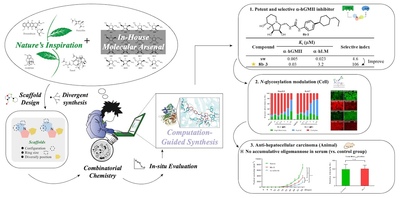 Chemists restructure an old natural product: Discovery a highly specific Golgi α-mannosidase inhibitor as a new anticancer agent Chemists restructure an old natural product: Discovery a highly specific Golgi α-mannosidase inhibitor as a new anticancer agent