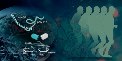 Sulfated Disaccharides Repair Toxic Protein Gain-of-Function, a New Approach to Treatment of Amyotrophic Lateral Sclerosis